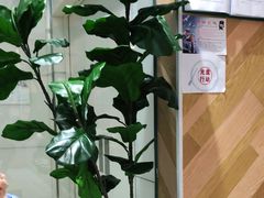 -许小树(国贸商城店)