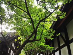 -成都杜甫草堂博物馆