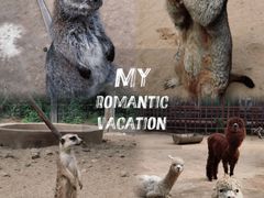 -呀路古热带植物园