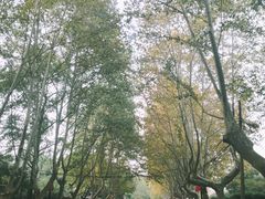 -浙江大学(玉泉校区)