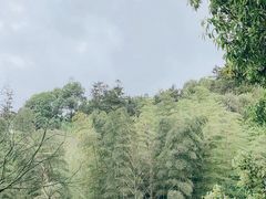 -碧峰峡风景区