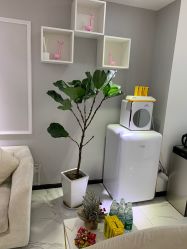 -久匠·野生眉半永久纹眉