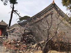 -妙峰山风景名胜区