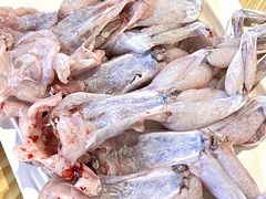 -铭记蛙小仙·活蛙畅享(CBD万达广场店)