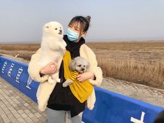 -南汇嘴观海公园