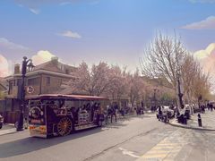 -19号私房菜(云南路店)