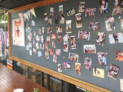 -柴犬高等学院·狗咖·柴犬售卖·宠物训练