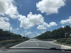 -碧海金沙