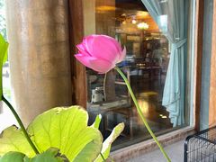 景观位-那家小馆•北京菜•烤鸭(香山店)