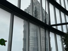 -上海中心大厦