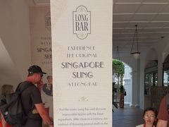 -Long Bar(莱佛士酒店)