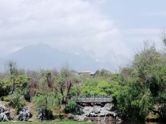 -黑龙潭公园