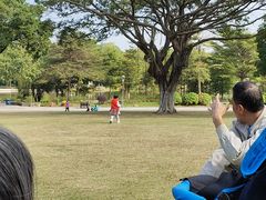 -东莞植物园