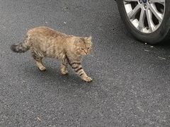 -文武汤包馆(辉河店)