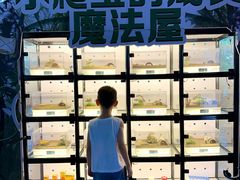 -南昌融创海世界