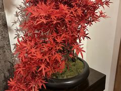 -四季厨房 鲁菜·孔府烤鸭(高新万达店)