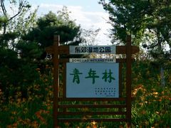 -东郊湿地公园