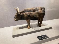 -仪征博物馆