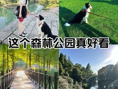 -贡湖湾湿地公园