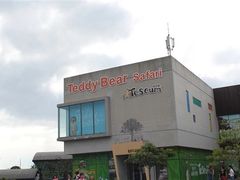 -济州岛泰迪熊博物馆