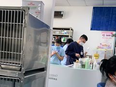 -北京赛佳动物医院