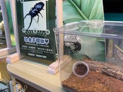 -正佳雨林生态植物园