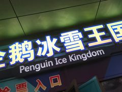 -海合安武汉极地海洋公园