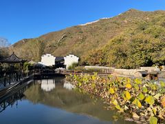 -荷塘味道(水长城店)