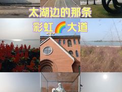 -贡湖湾湿地公园