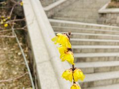 -湛山寺