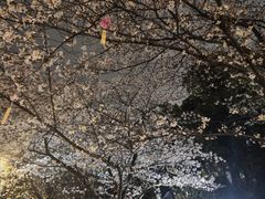 -堤角公园