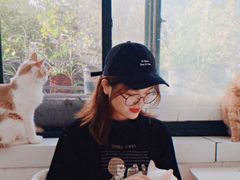 -喵的天空名猫咖啡馆·撸猫·猫舍·用品