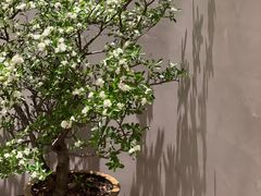 -二酉书店TOYOU BOOKS