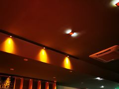 -虚荣精酿酒屋(五羊店)