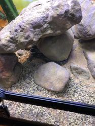 -酷嗒动物文化乐园(cutezoo西溪乐天城店)