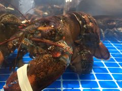波士顿龙虾-七鲜超市(通州ONE店)