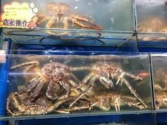 -蚝专家(北滘店)