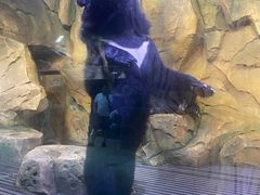 -哈尔滨波塞冬海底世界