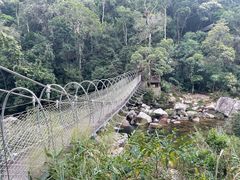 -海南热带雨林国家公园吊罗山景区