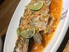 泰式明鲈鱼-喜越泰莱·泰越料理(海逸新天地店)