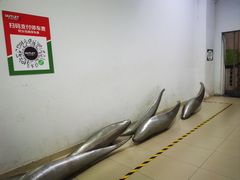 -砂之船奥莱(南京江宁店)