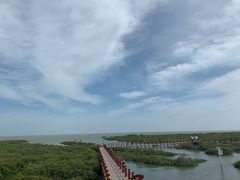 -北海金海湾红树林生态旅游区