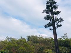 -野狸岛
