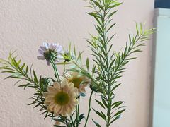 -酒井酱子·深夜食堂(东城汇店)