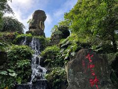 -海口火山口国家地质公园