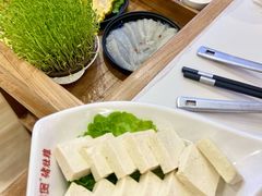 鲜豆苗-好彩猪肚鸡(正弘城店)