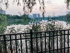 -时间仓(月湖公园店)