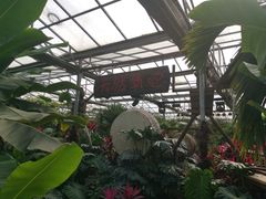 -呀路古热带植物园