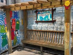 景点-猫咪博物馆(顶澳仔猫街店)