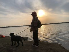 -丁香湖公园